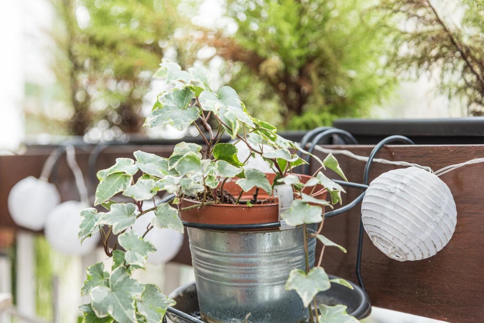 Guestready - The Hackberry Lejlighed Porto Eksteriør billede
